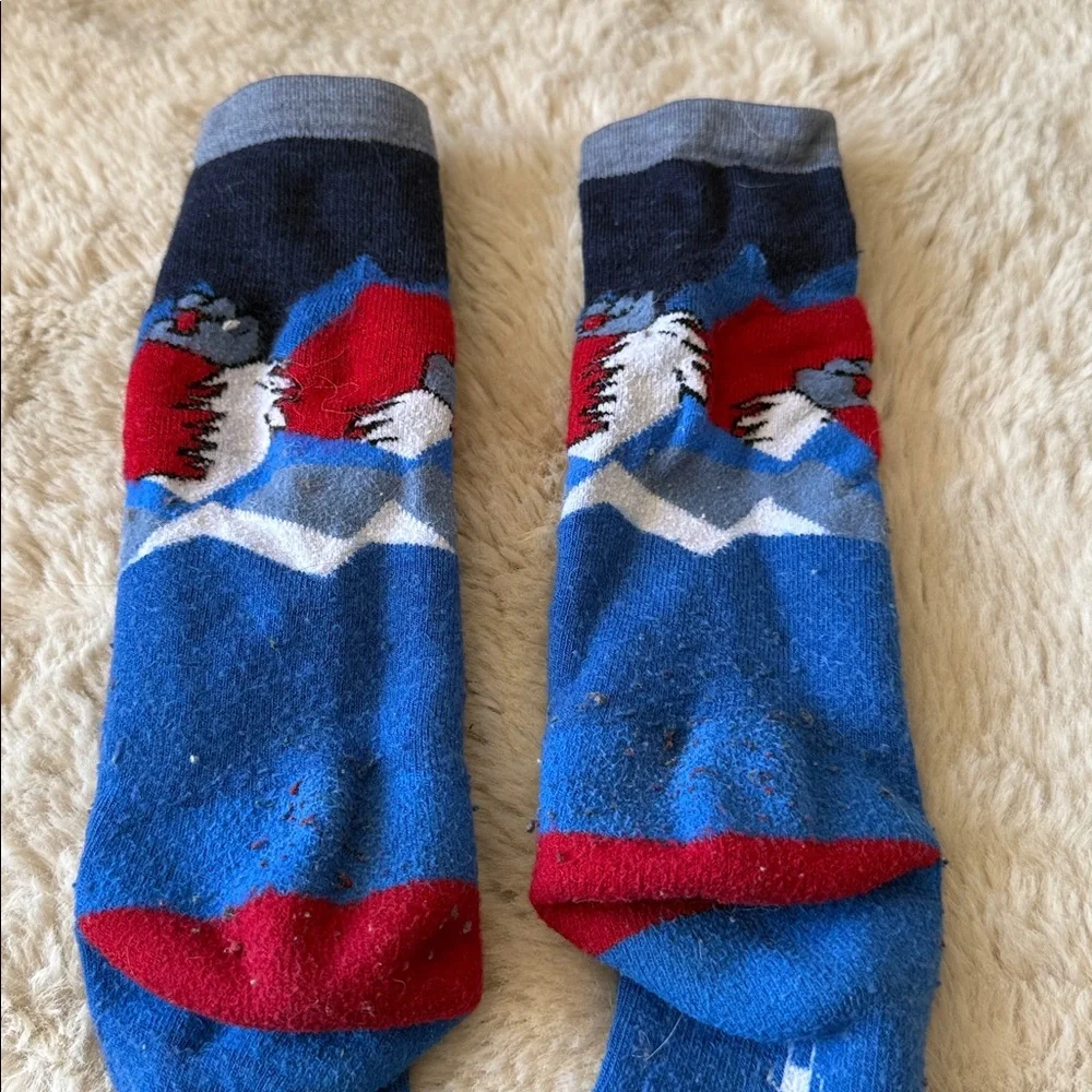 Smartwool Socks Kids Large Wool Yeti Blue Red Skiing